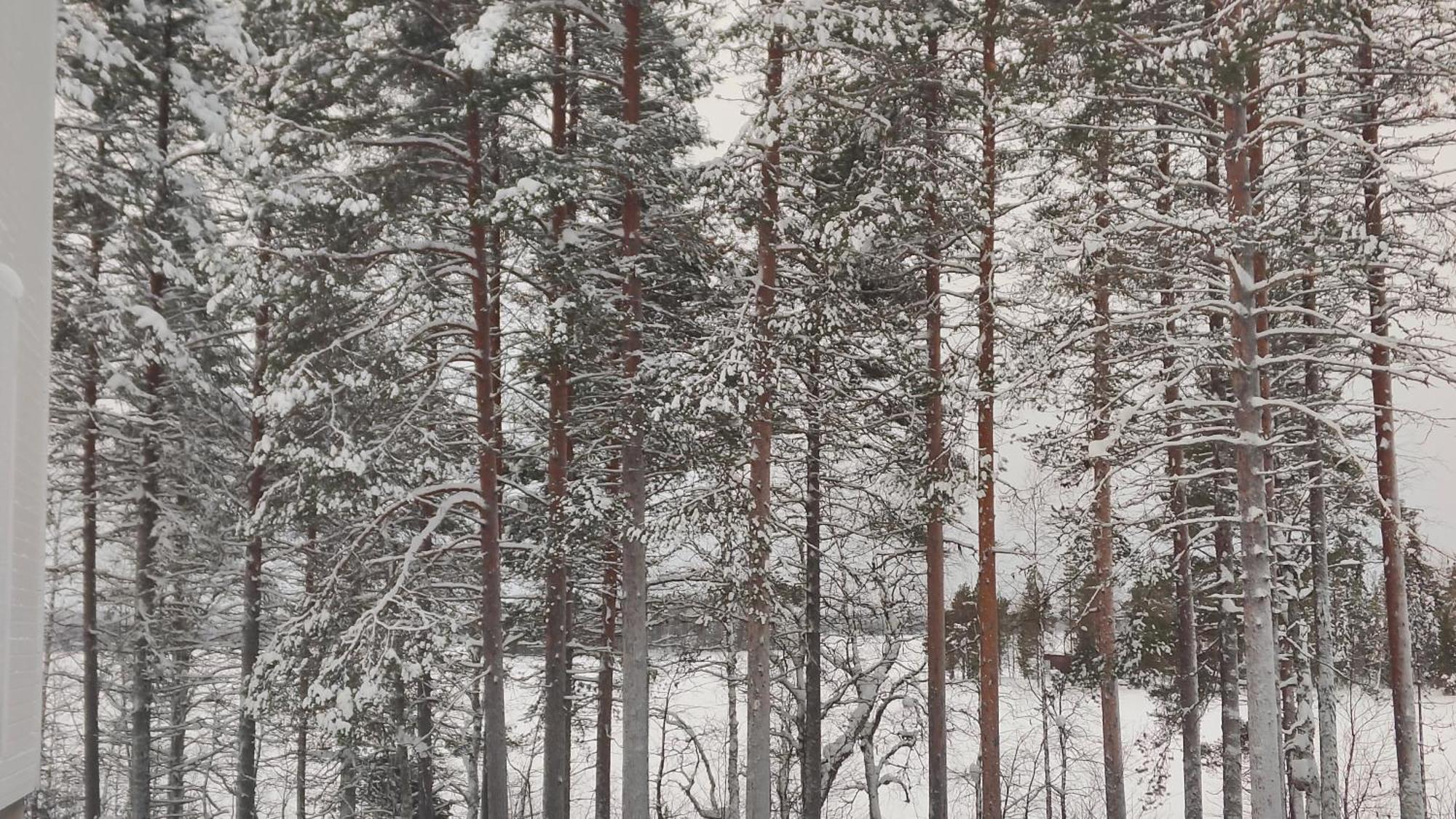 Royal Reindeer Lakeside Apartments Rovaniemi Ngoại thất bức ảnh